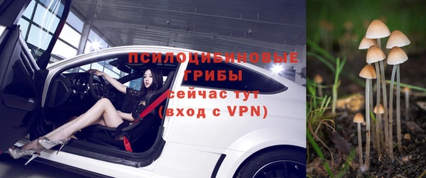 хмурый Алексин