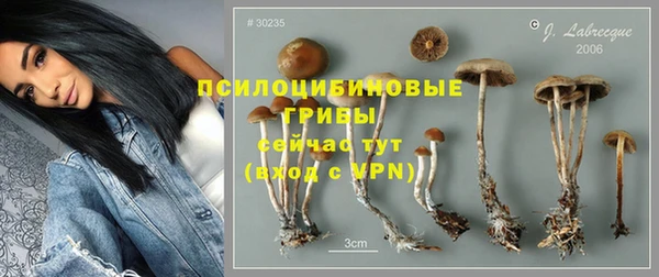 хмурый Алексин