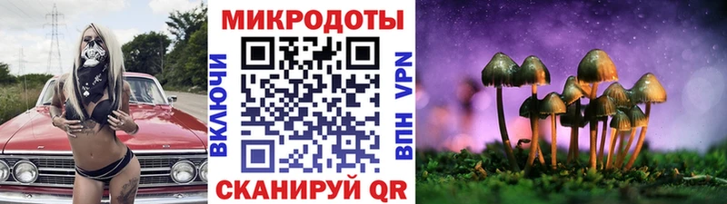 Купить закладки  Фатеж  Галлюциногенные грибы MAGIC MUSHROOMS 