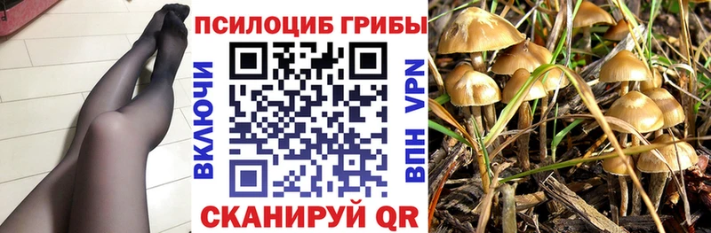 Галлюциногенные грибы Magic Shrooms Фатеж